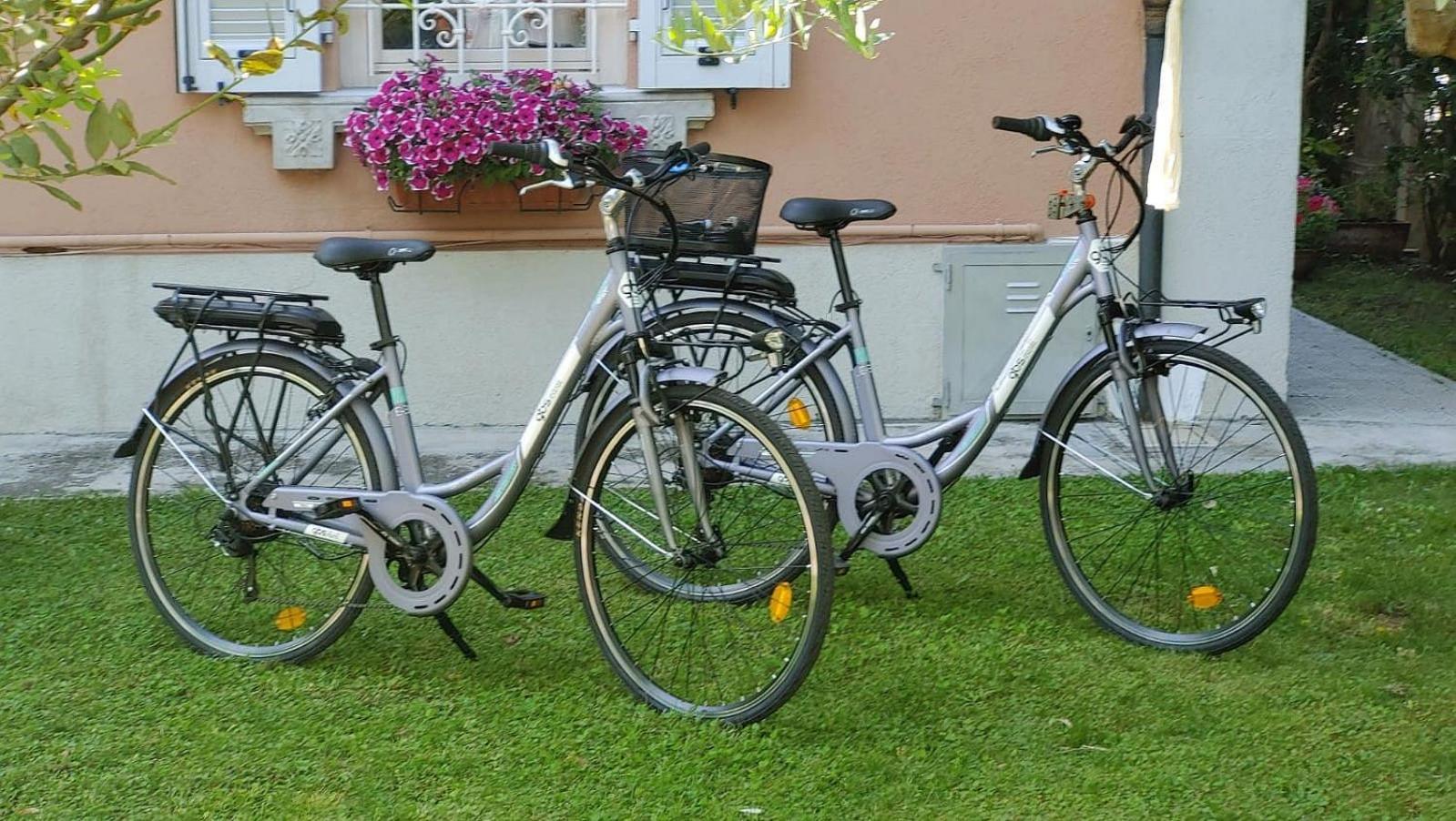 Villa Liberty B&B Fano Bagian luar foto